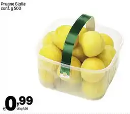 Elite Prugne Gialle offerta