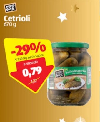 ALDI Nature's Gold Cetrioli 670g offerta
