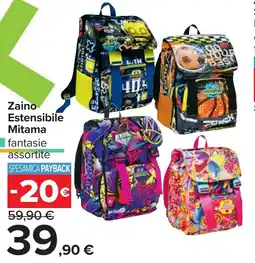 Carrefour Zaino Estensibile Mitama offerta