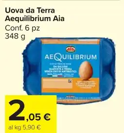 Carrefour Market Uova da Terra Aequilibrium Aia offerta