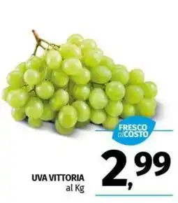 Pam Uva vittoria offerta