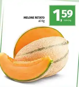 Pam Melone retato offerta