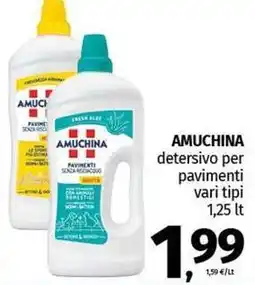 Pam AMUCHINA detersivo per pavimenti vari tipi offerta