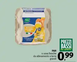 Pam PAM 4 uova fresche da allevamento a terra grandi offerta