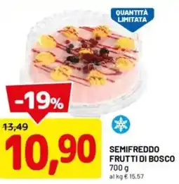 DPiù Semifreddo frutti di bosco offerta