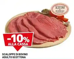 DPiù Scaloppe di bovino adulto scottona offerta