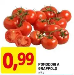 DPiù Pomodori a grappolo offerta