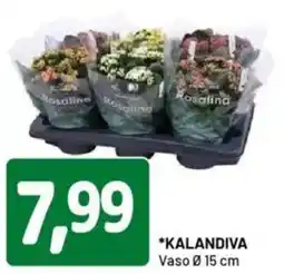 DPiù Kalandiva vaso 15 cm offerta