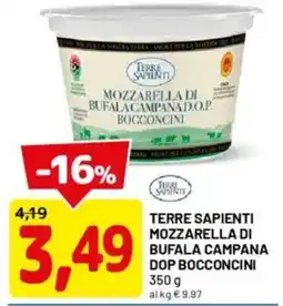 DPiù Terre sapienti mozzarella di bufala campana dop bocconcini offerta