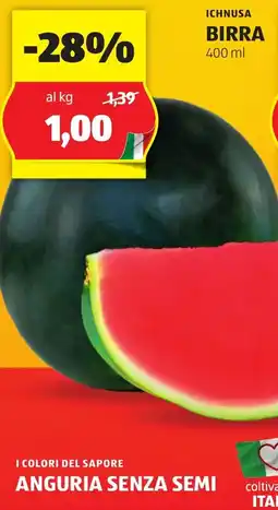 ALDI I COLORI DEL SAPORE Anguria senza semi offerta