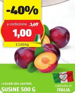 ALDI I colori del sapore susine offerta