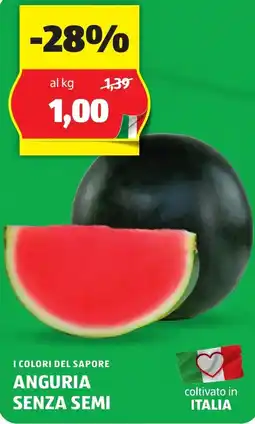 ALDI I colori del sapore anguria senza semi offerta