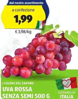 ALDI I colori del sapore uva rossa senza semi offerta