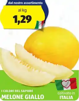 ALDI I colori del sapore melone giallo offerta