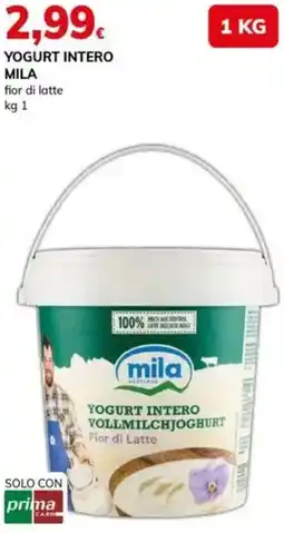 Basko Yogurt intero MILA offerta