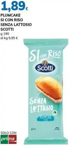 Basko Plumcake si con riso senza lattosio SCOTTI offerta