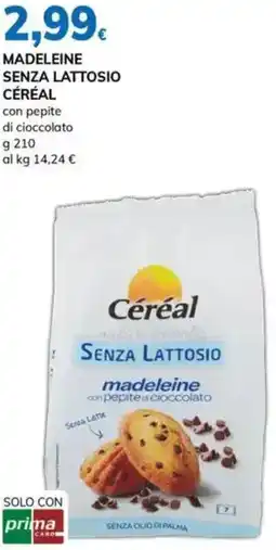 Basko Madeleine senza lattosio CÉRÉAL offerta