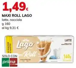 Basko Maxi roll LAGO offerta