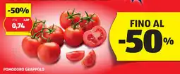 ALDI Pomodoro grappolo offerta