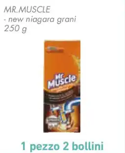 Conad MR.MUSCLE - new niagara grani offerta