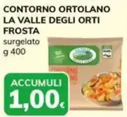 Basko Contorno ortolano la valle degli orti FROSTA offerta
