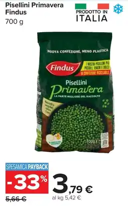 Carrefour Pisellini Primavera Findus offerta