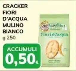 Basko Cracker fiori d'acqua MULINO BIANCO offerta