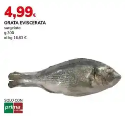 Basko Orata eviscerata surgelata offerta