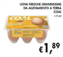 Coal Uova fresche grandissime da allevamento a terra COAL offerta