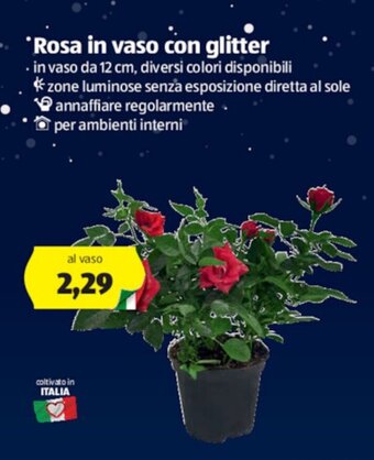 ALDI Rosa in vaso con glitter offerta