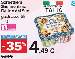 Carrefour Sorbettiera Sammontana Delizie del Sud offerta