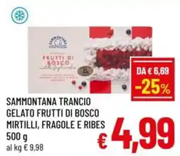 A&O Sammontana trancio gelato frutti di bosco mirtilli, fragole e ribes offerta