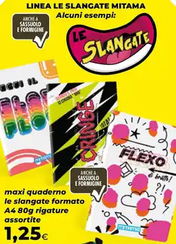 Extracoop maxi quaderno le slangate formato A4 80g rigature assortite offerta