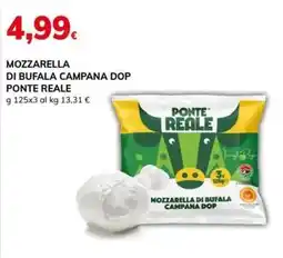 Basko Mozzarella di bufala campana dop PONTE REALE offerta