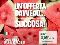 Banco Fresco Anguria zebrata offerta