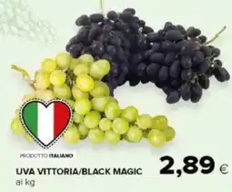 Tigre Amico Uva vittoria/black magic offerta