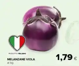 Tigre Amico Melanzane viola offerta