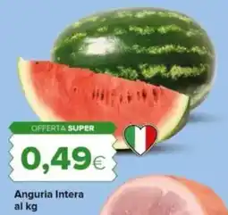 Tigre Anguria Intera offerta