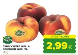 Tigre Tabacchiera gialla selezione qualità offerta