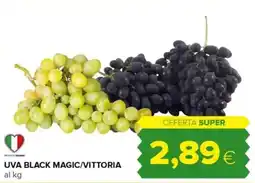 Tigre Uva black magic/vittoria offerta