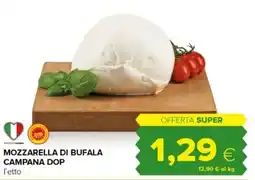Tigre Mozzarella di bufala campana dop offerta