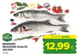 Tigre Branzino selezione qualità 300/600 offerta