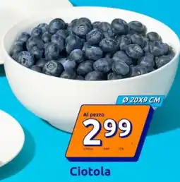 Action Ciotola offerta