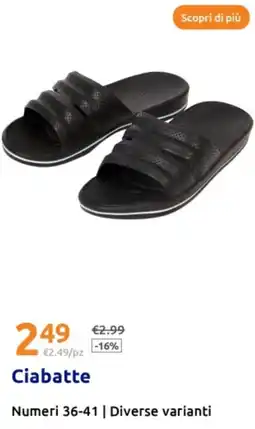 Action Ciabatte offerta