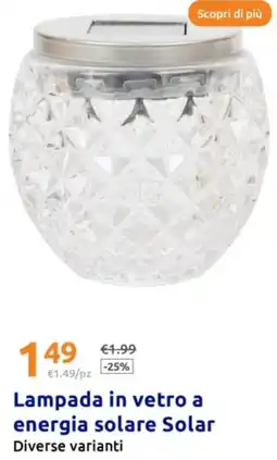 Action Lampada in vetro a energia solare Solar offerta
