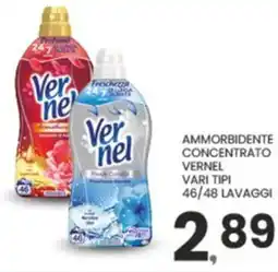 Despar Ammorbidente concentrato VERNEL vari tipi 46/48 lavaggi offerta