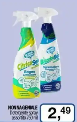 Caddy's NONNA GENIALE Detergente spray assortito offerta