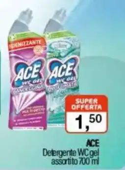 Caddy's ACE Detergente WC gel assortito offerta