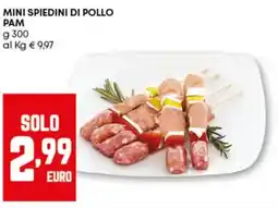 Pam Mini spiedini di pollo PAM offerta