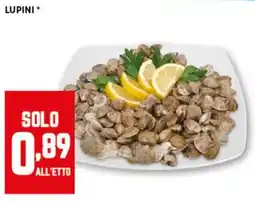 Pam Lupini offerta